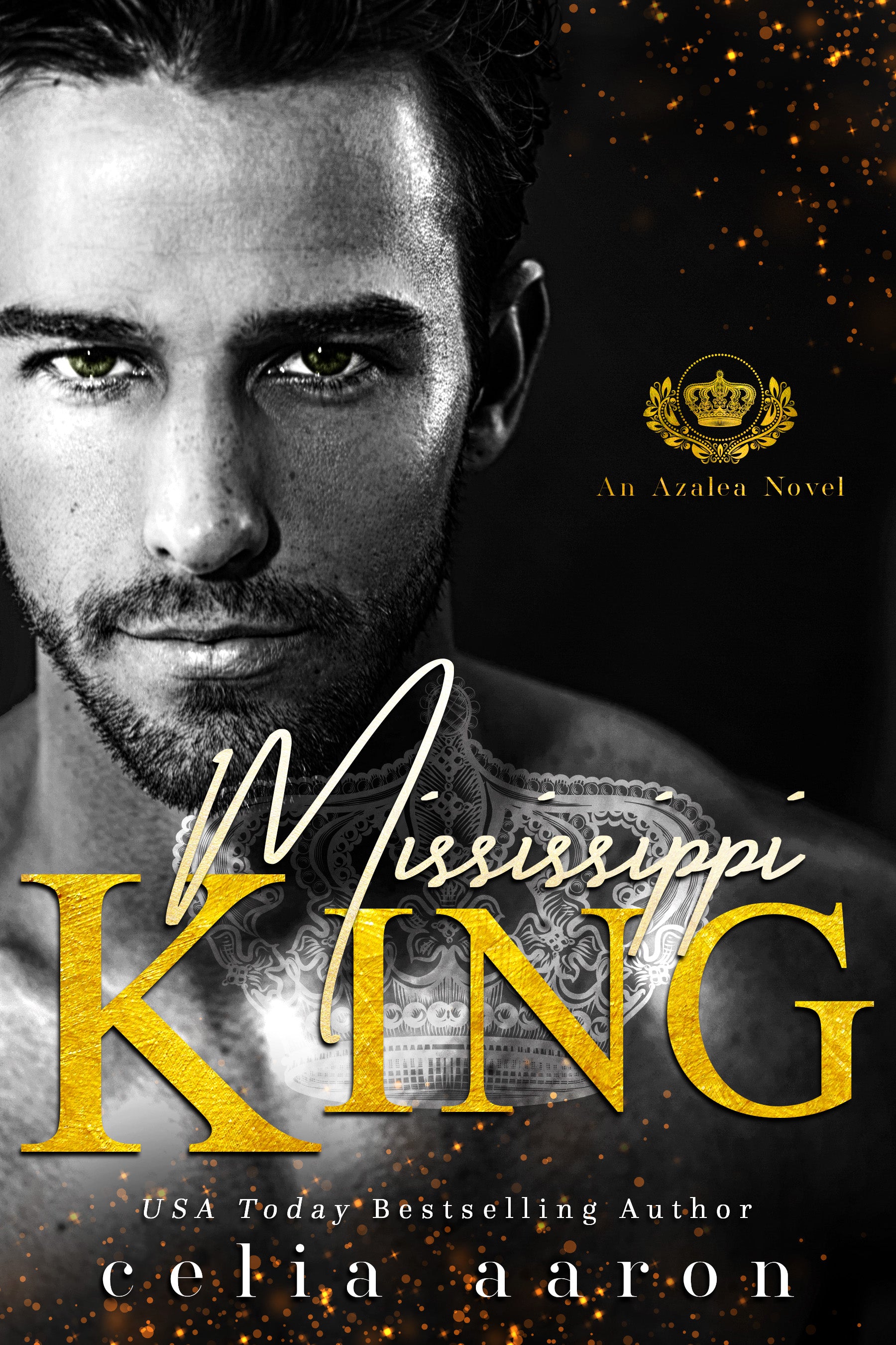 Mississippi King Paperback