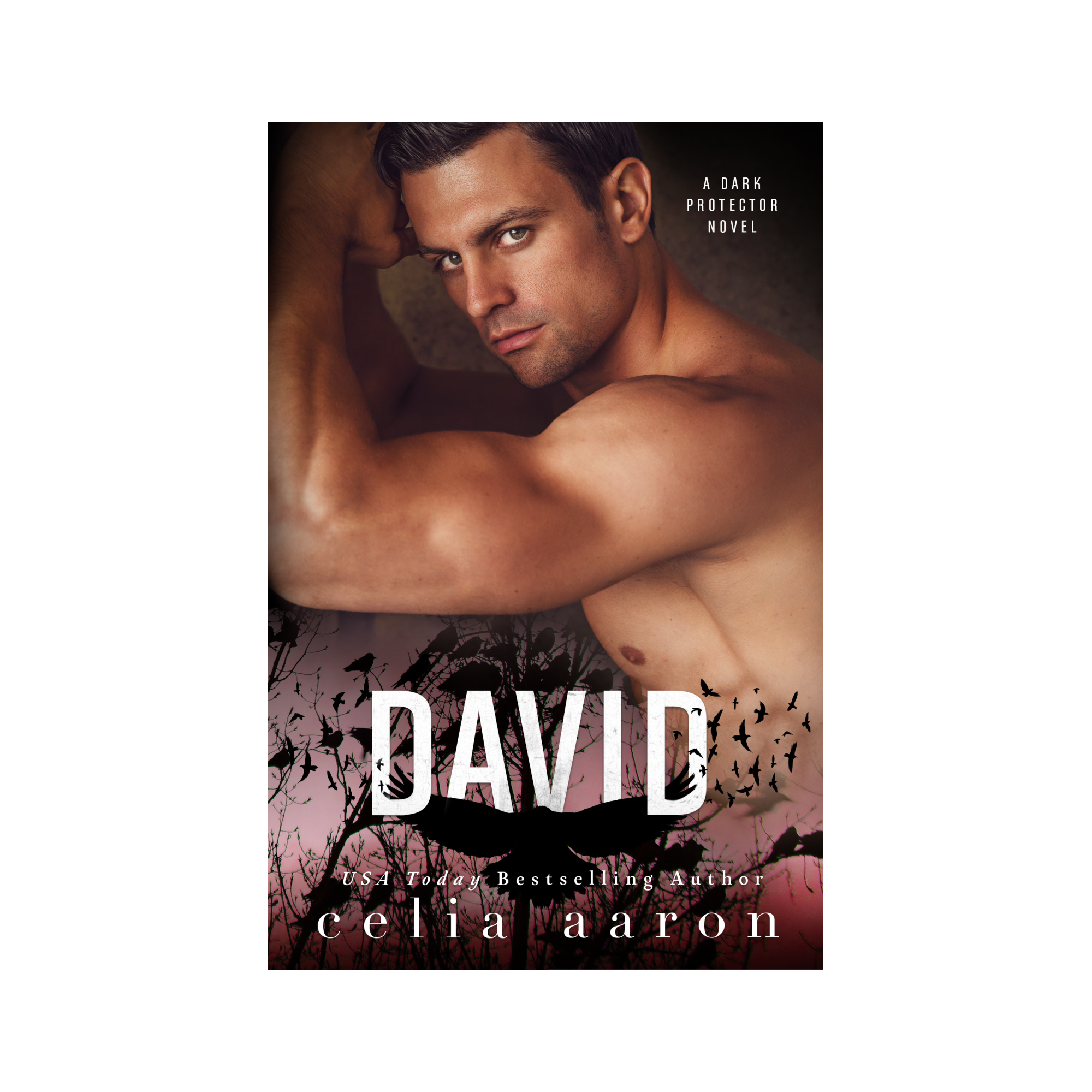 David Paperback