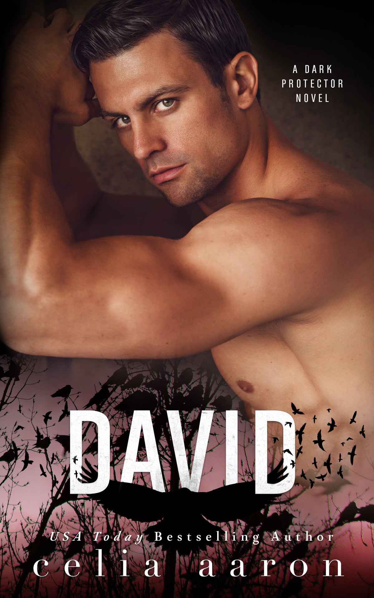 David Paperback