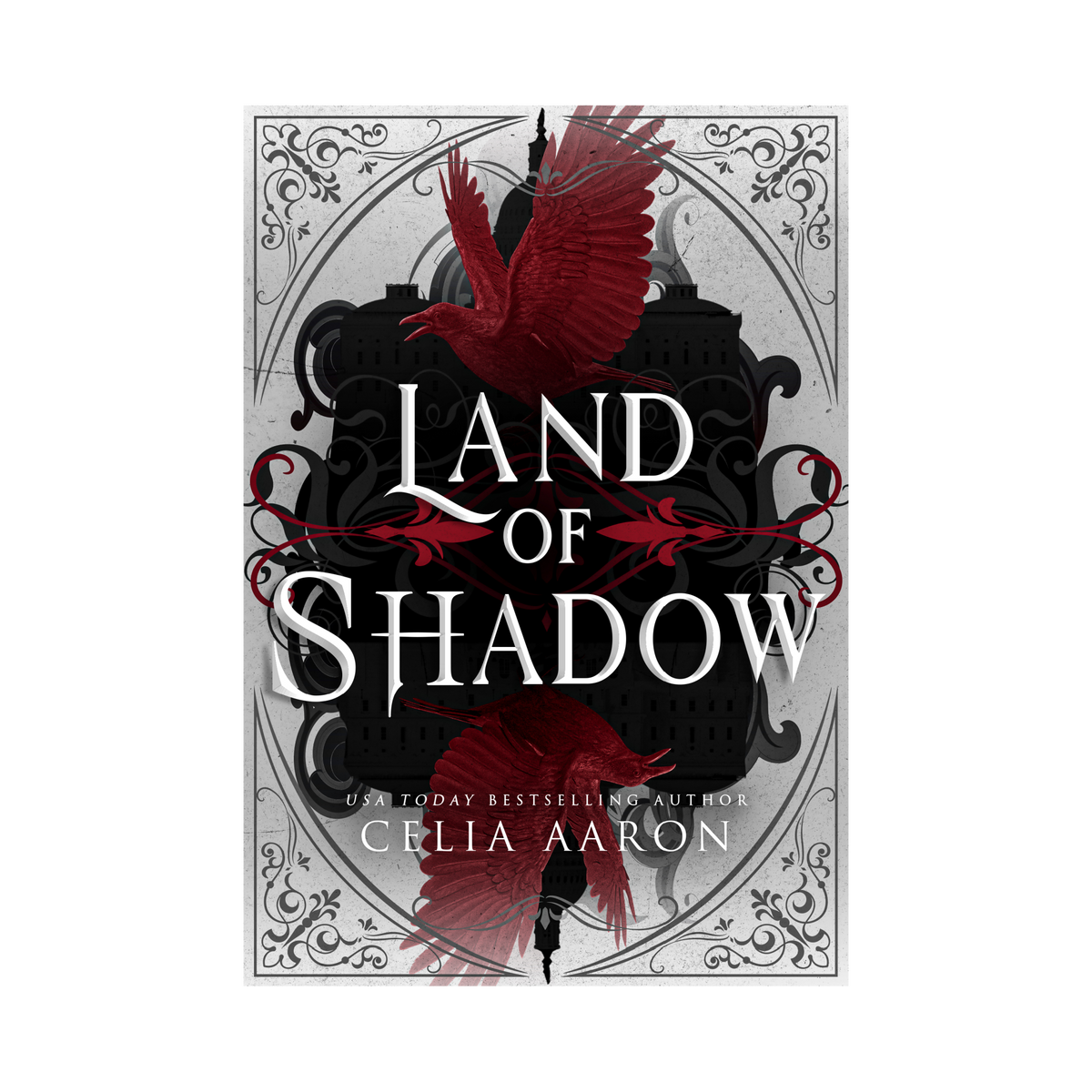 Land of Shadow Paperback