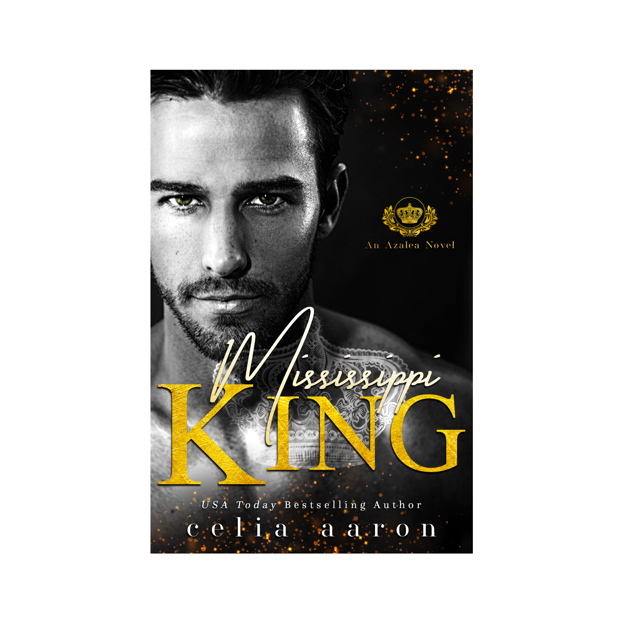 Mississippi King Paperback