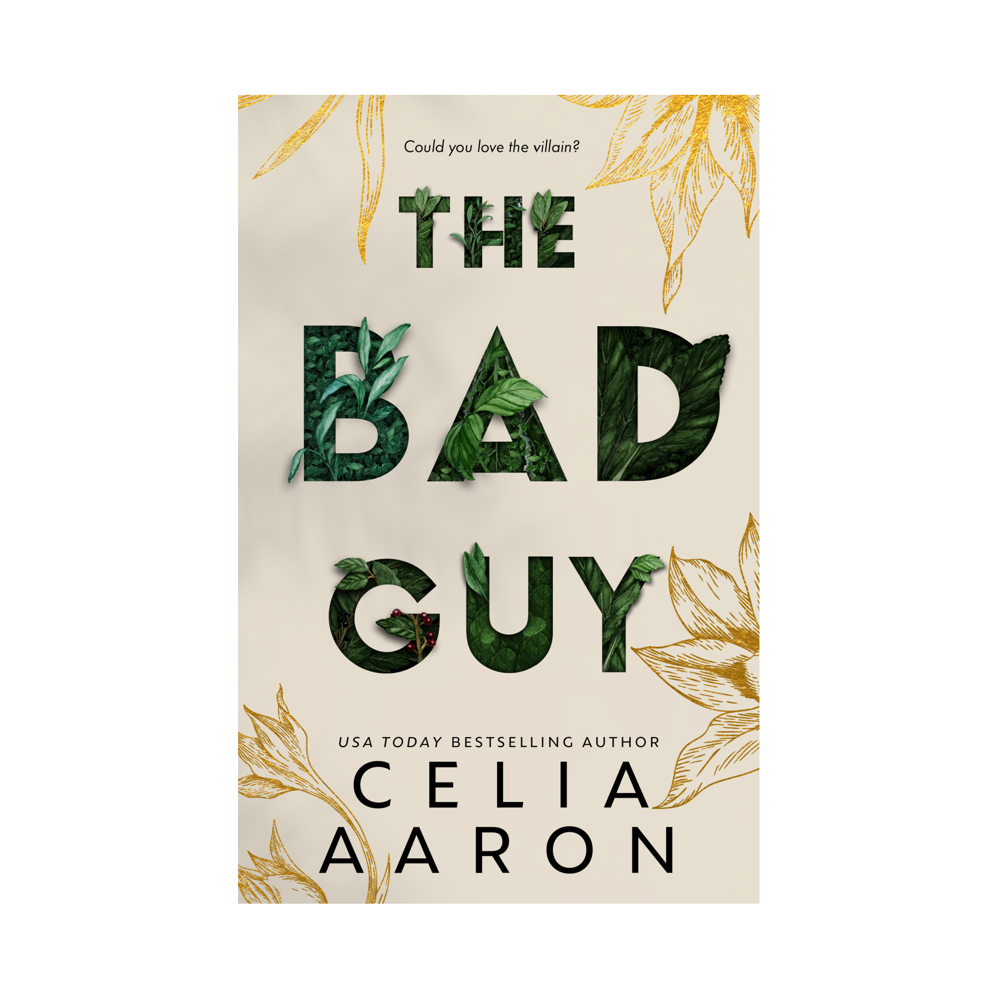 The Bad Guy Paperback