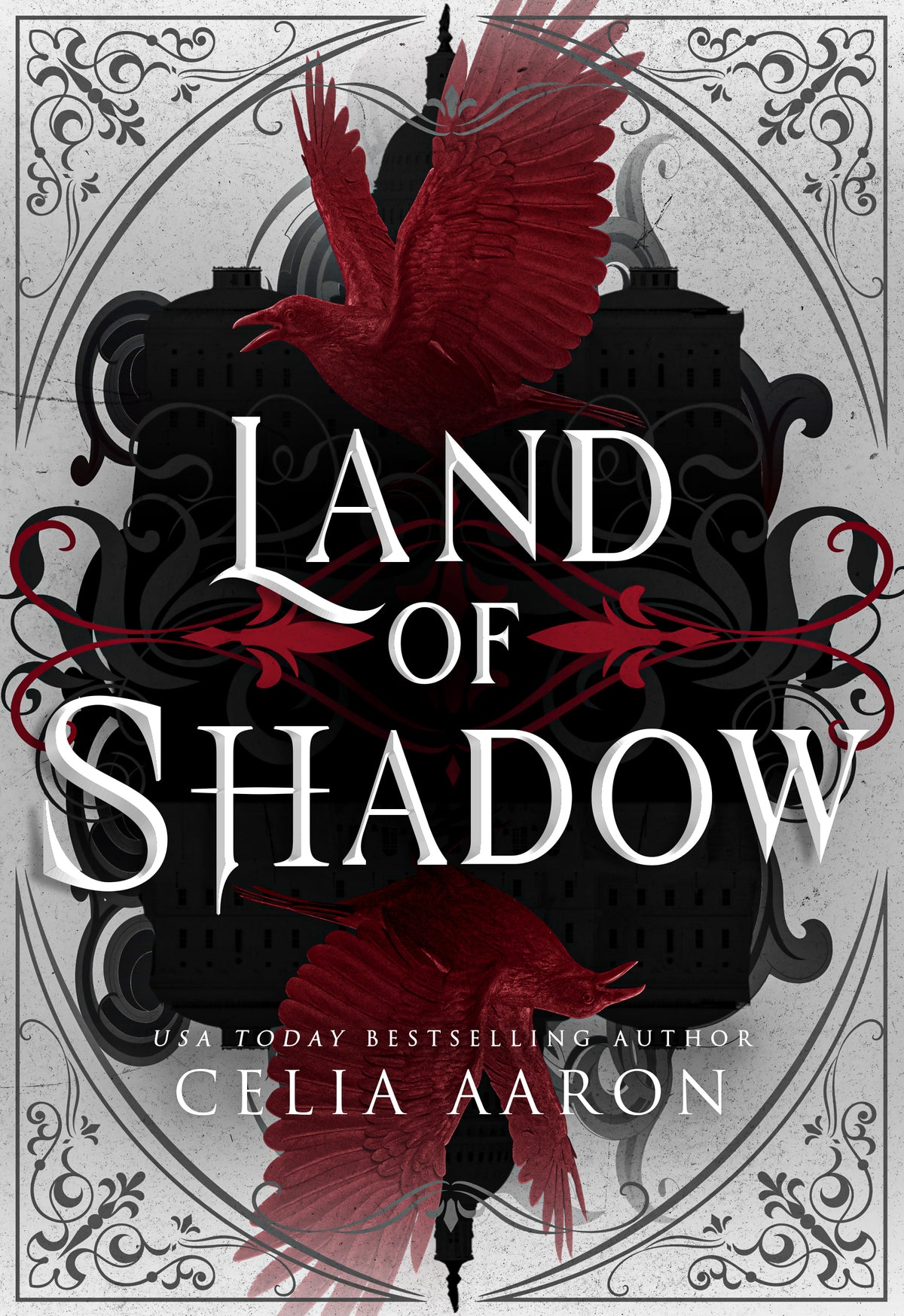 Land of Shadow Paperback
