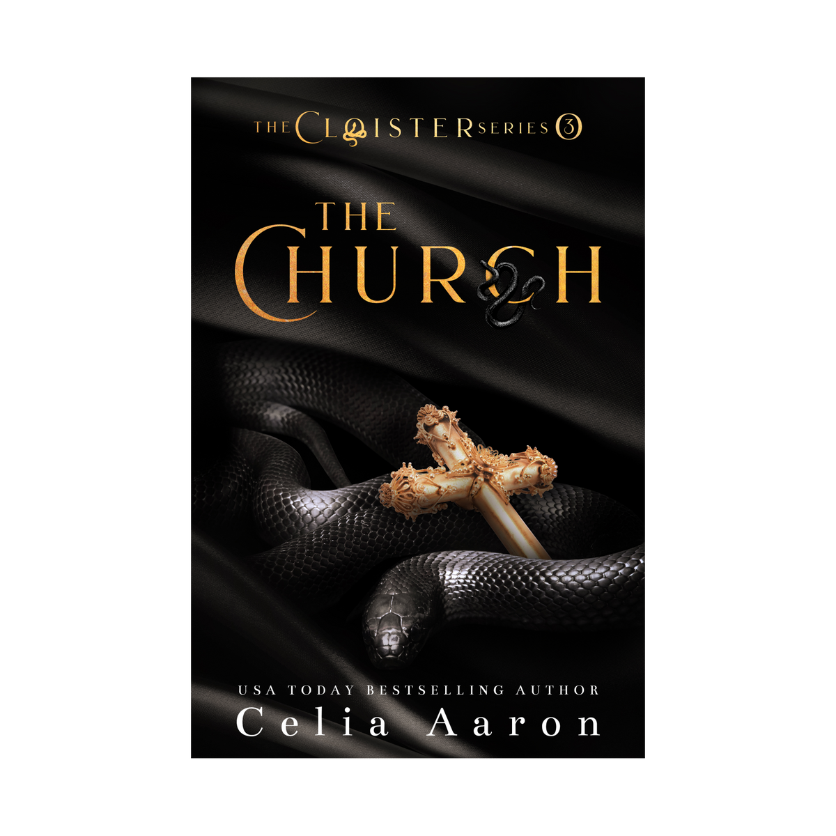 The Church Paperback